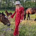 LunaBloom Summer Floral Elegance Dress